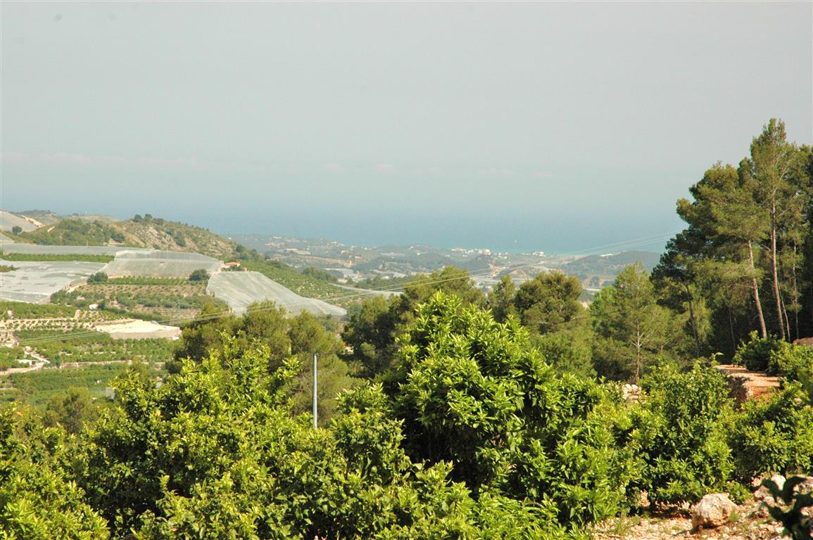 Grundstück en venta en Callosa D'en Sarria
